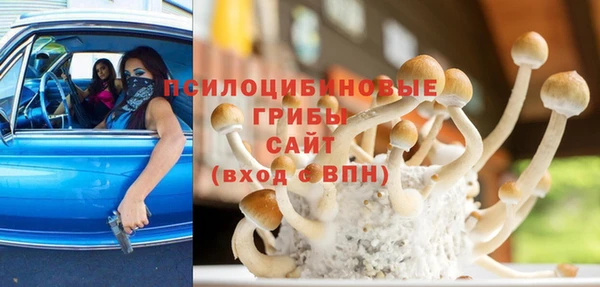 сатива Арсеньев