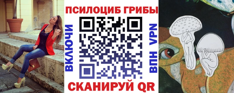 Галлюциногенные грибы Cubensis  как найти   Бокситогорск 